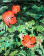 red poppy oil on canvas painting by alex borissov 2004