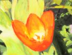 red tulip - painting by alex borissov - oil on canvas 2002